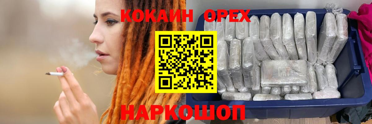 Псилоцибиновые грибы Губкинский