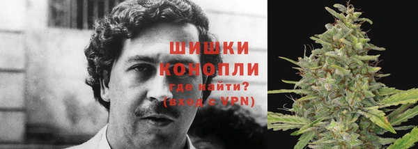 ECSTASY Нязепетровск