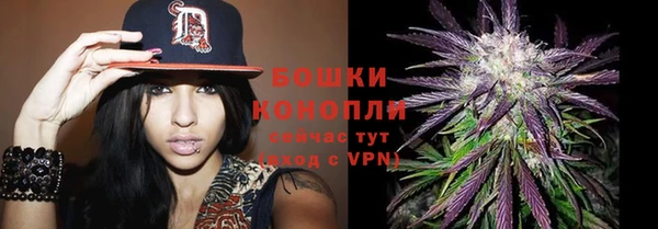 дживик Нягань