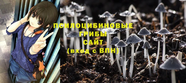 МДМА Няндома