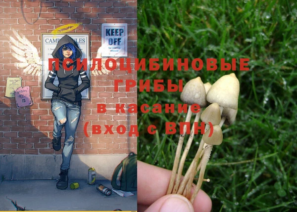 МДМА Няндома
