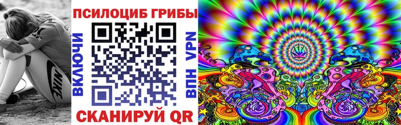 Псилоцибиновые грибы мицелий  магазин продажи   Губкинский 