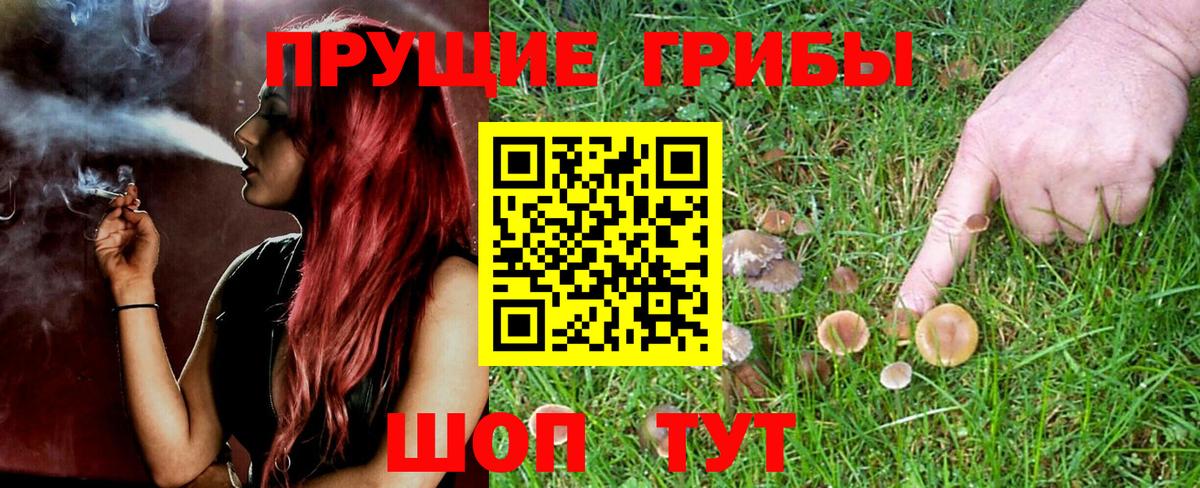Псилоцибиновые грибы прущие грибы  сколько стоит  Губкинский 