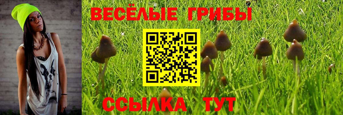 Галлюциногенные грибы Cubensis Губкинский
